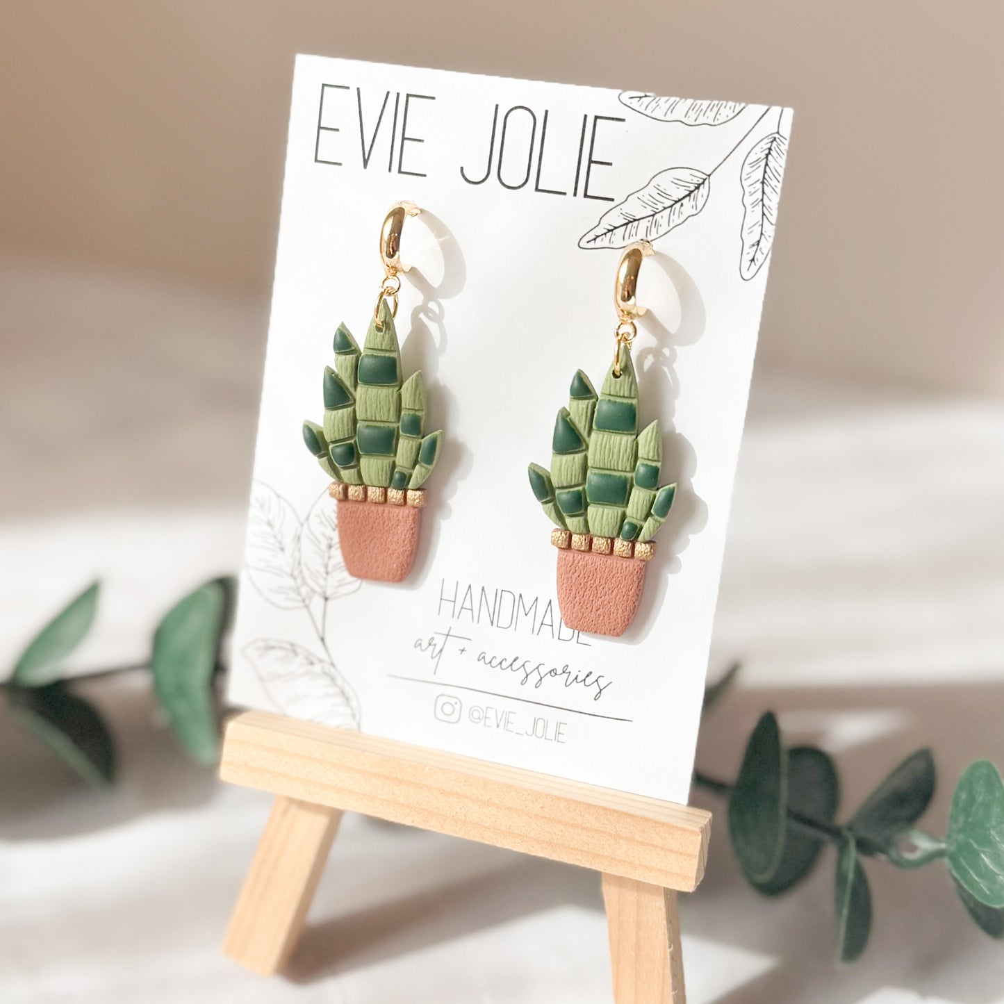 Snake Plant | Dangles