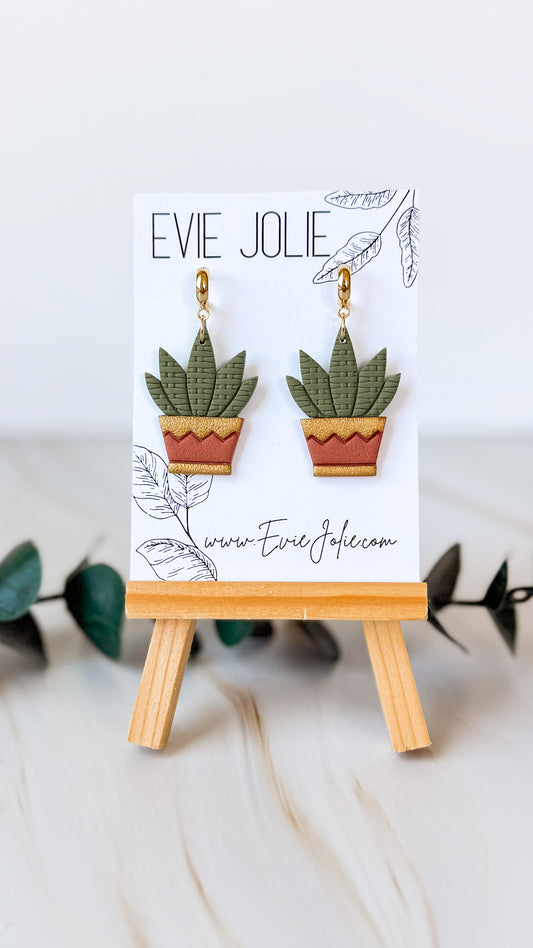 Potted Aloe Plant | Dangles