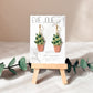 Snake Plant | Dangles