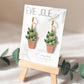 Snake Plant | Dangles